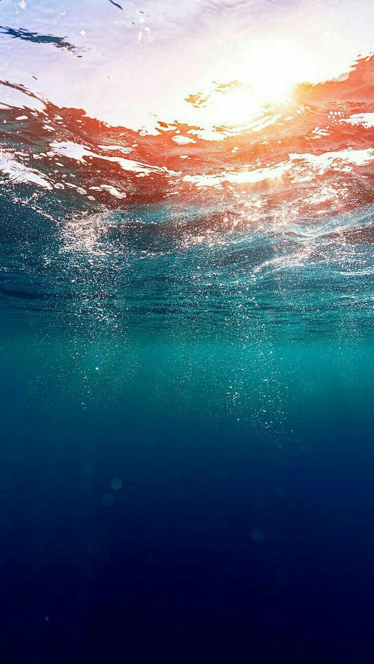 736x1308  ocean Wallpapers на Wallpaperdog