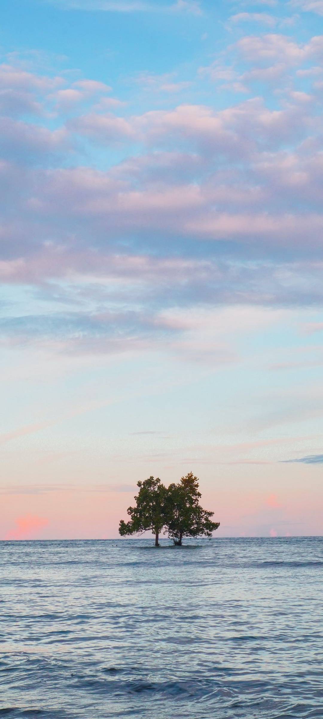 1080x2400  ocean Обои-Лучшие 4K Ocean Wallpapers [HD].Морские обои телефон HD - 768x1280 Обои - Teahub.io 