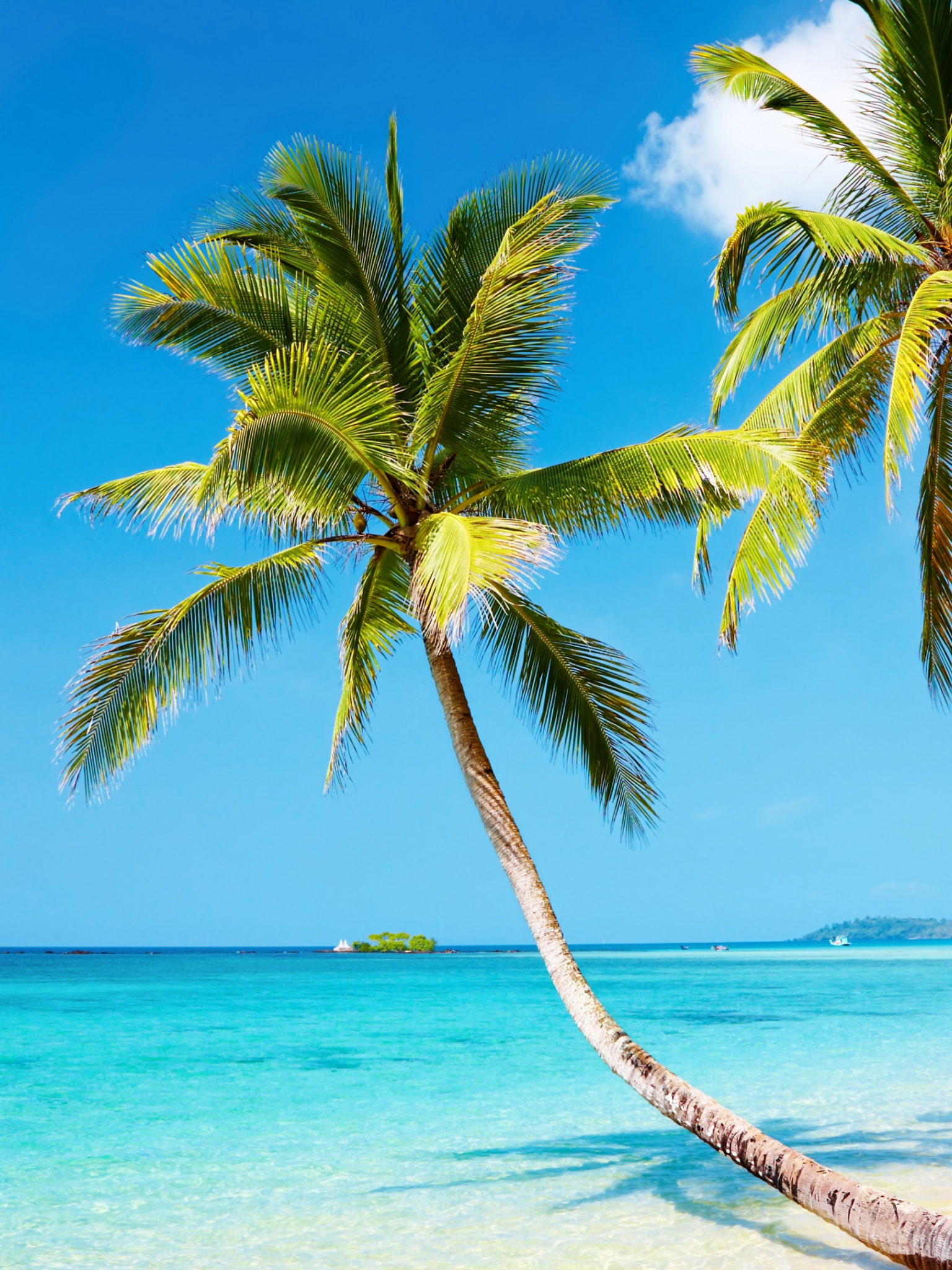 1536x2048   Х. Peakpx