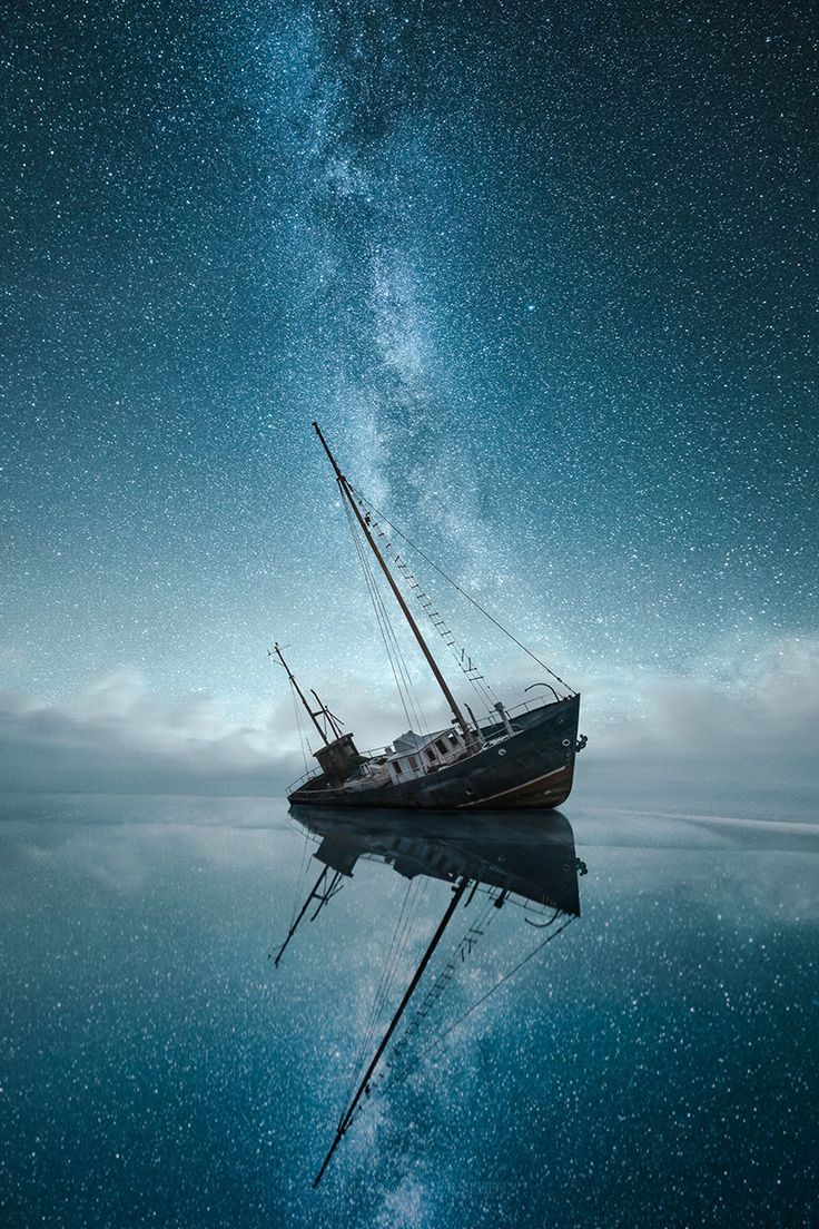 736x1104   Wallpaper HD: Fallout, New, Vegas, обои, HD, обои | epostalnews.com 