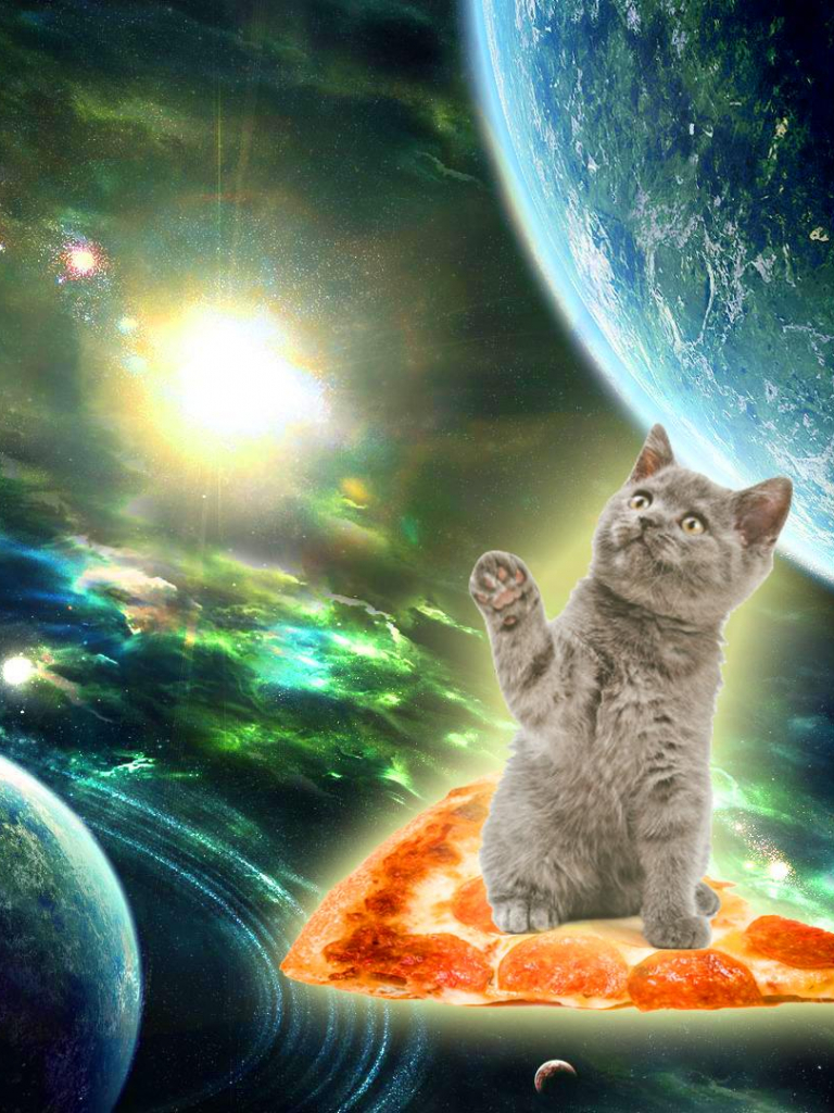 768x1024   Смешные 80 обоев Android - Android HD Wallpapers