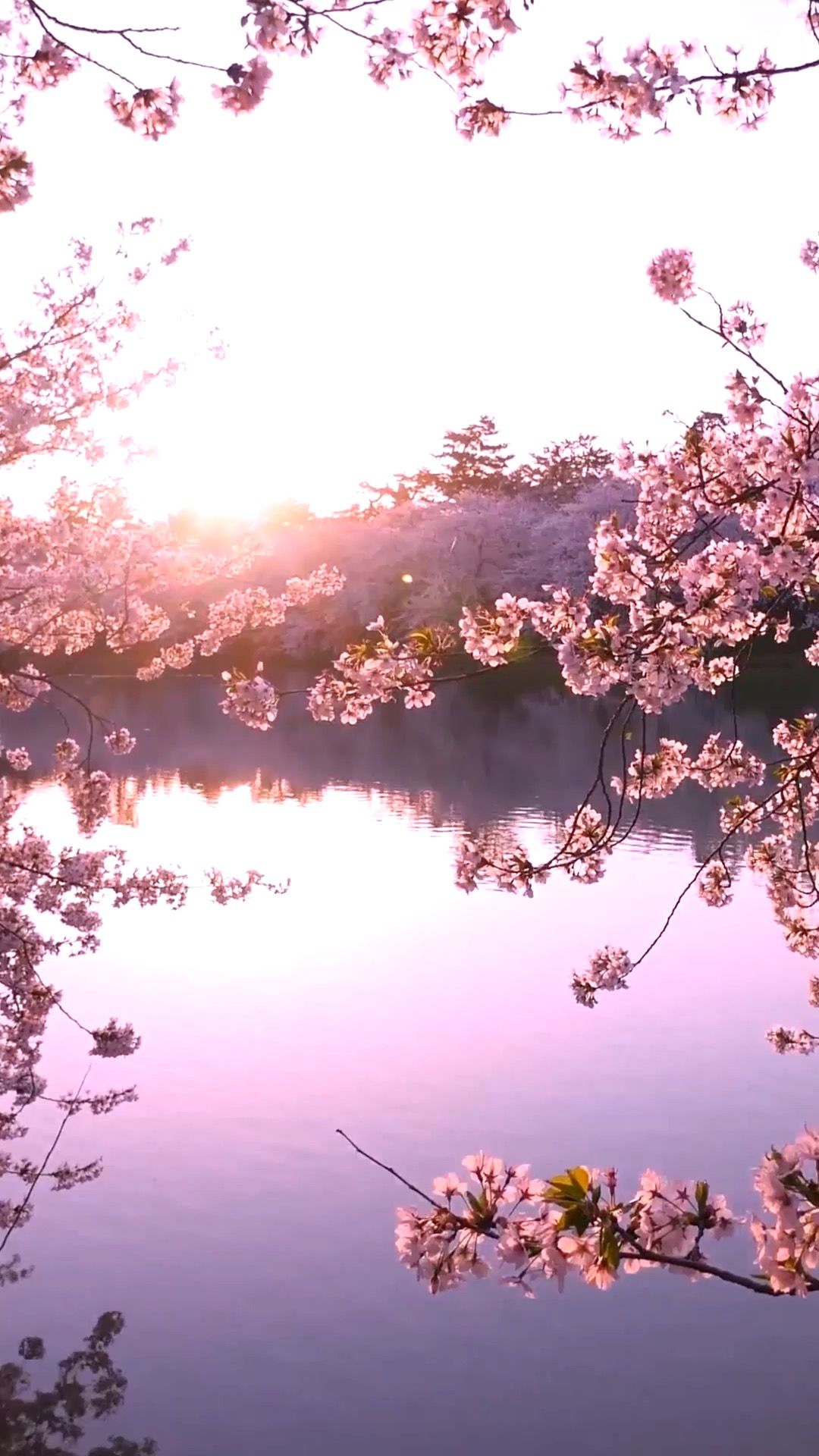 1080x1920  russia Векторная коллекция российской культуры и природы изображений. Сток-векторграфик | Adobe Stock