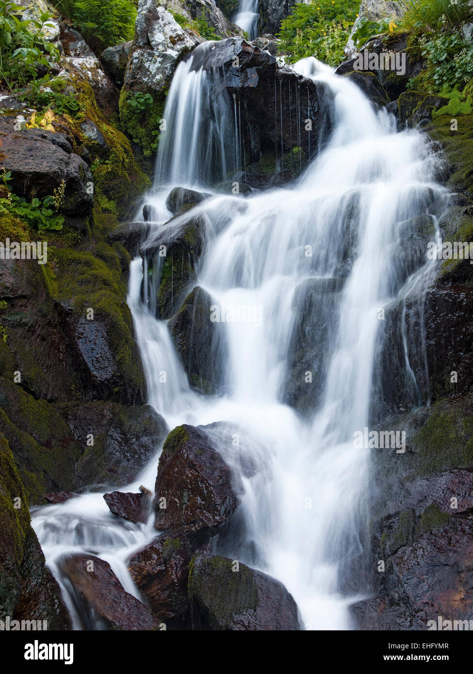 975x1390   Russian Plains Plains ultra hd Фоновые обои для 4K uhd TV: планшет: смартфон 