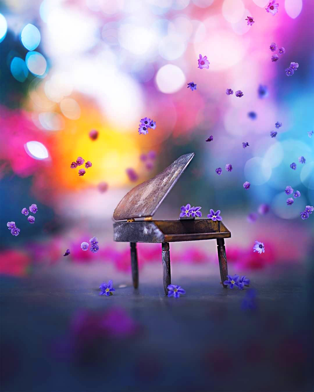 1080x1350   100+ знаний картинки | Скачать бесплатные изображения на unsplash