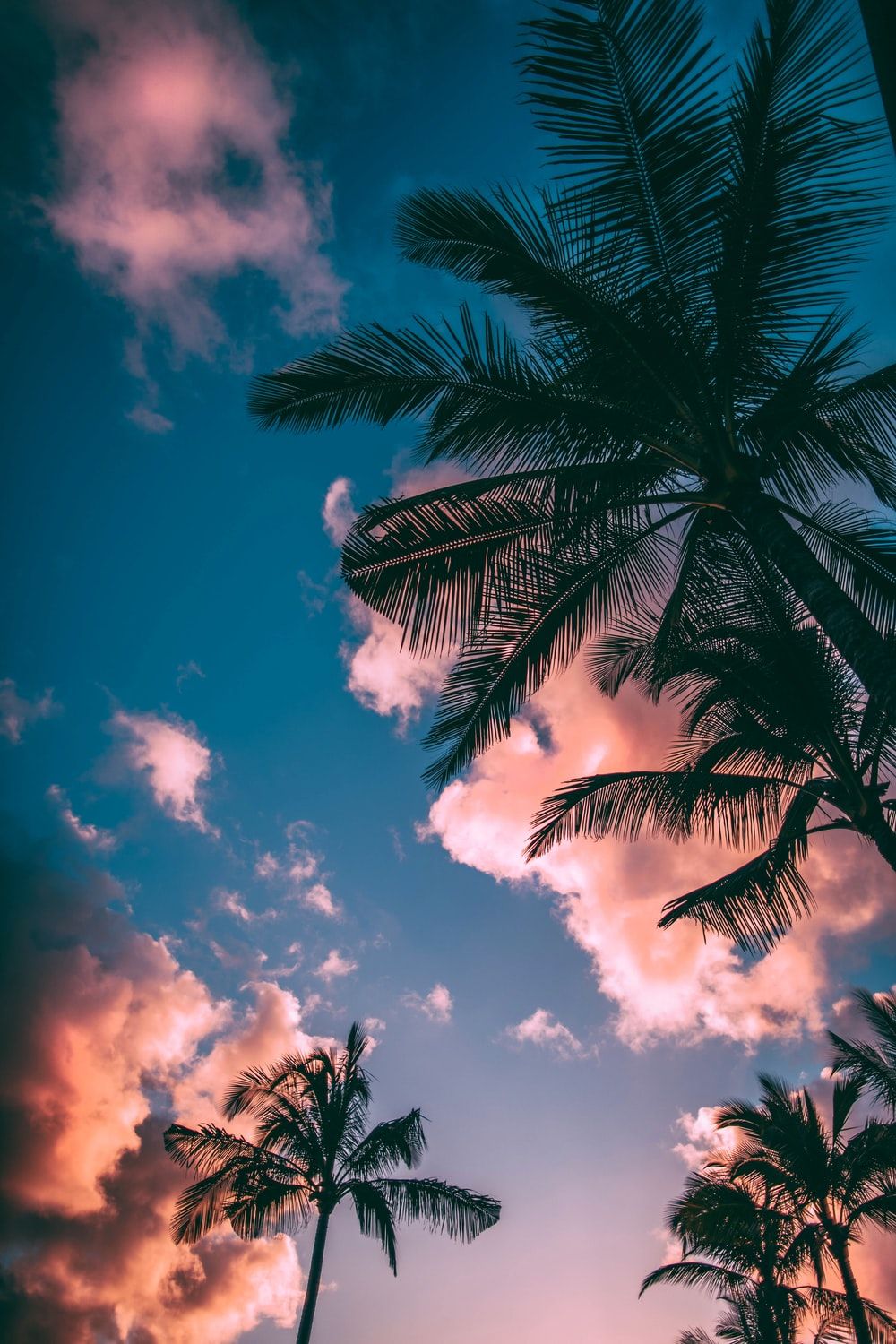 1000x1500 Summer Wallpapers на обоях hadsumer vib -vib для iPhone обои для Teens | Любое D'Ecran Téléphone, Fond D'Ecran Pastel, Fond D'Ecran Coloré 