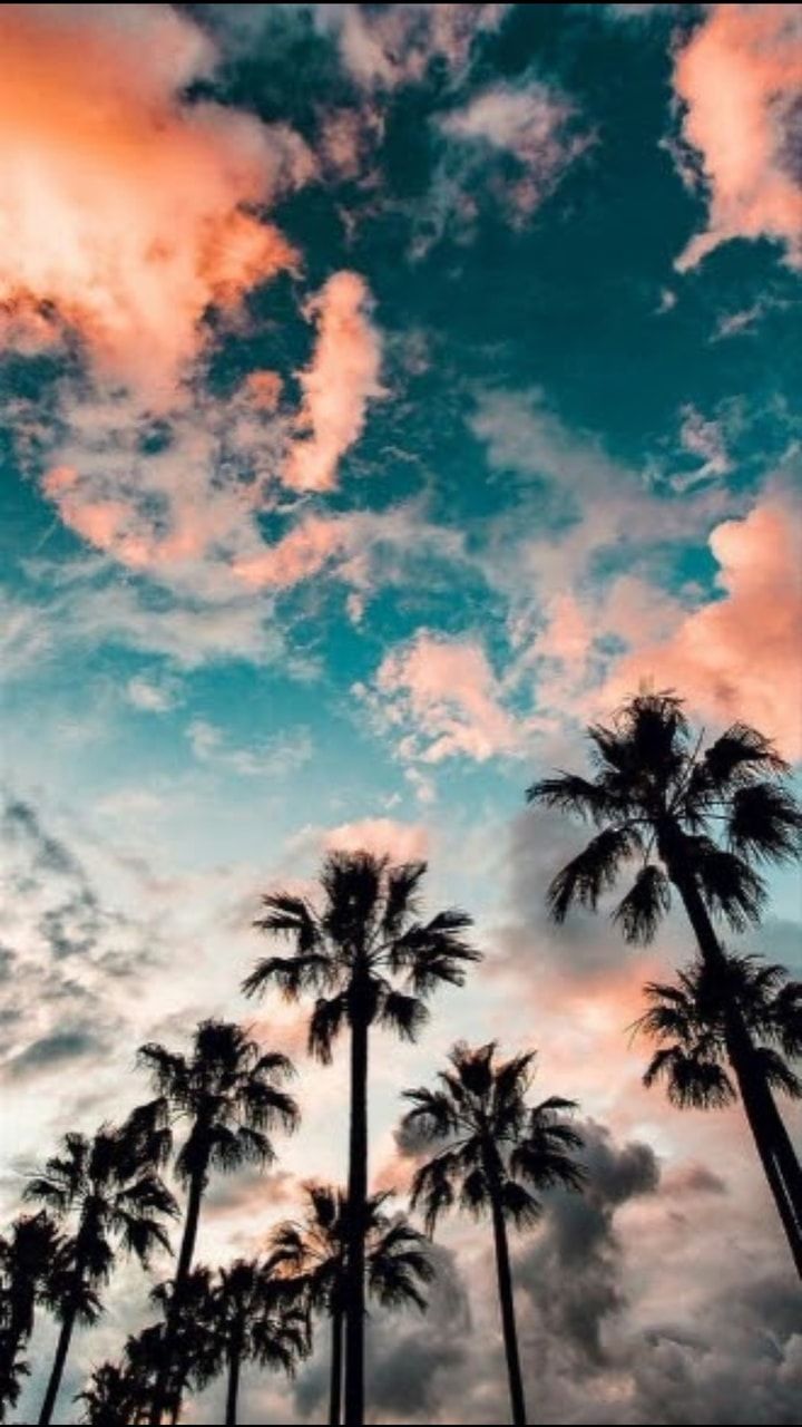 720x1280 Summer Aesthetic iPhone Wallpaper HD Home Screen - Wallpaper HD 2022