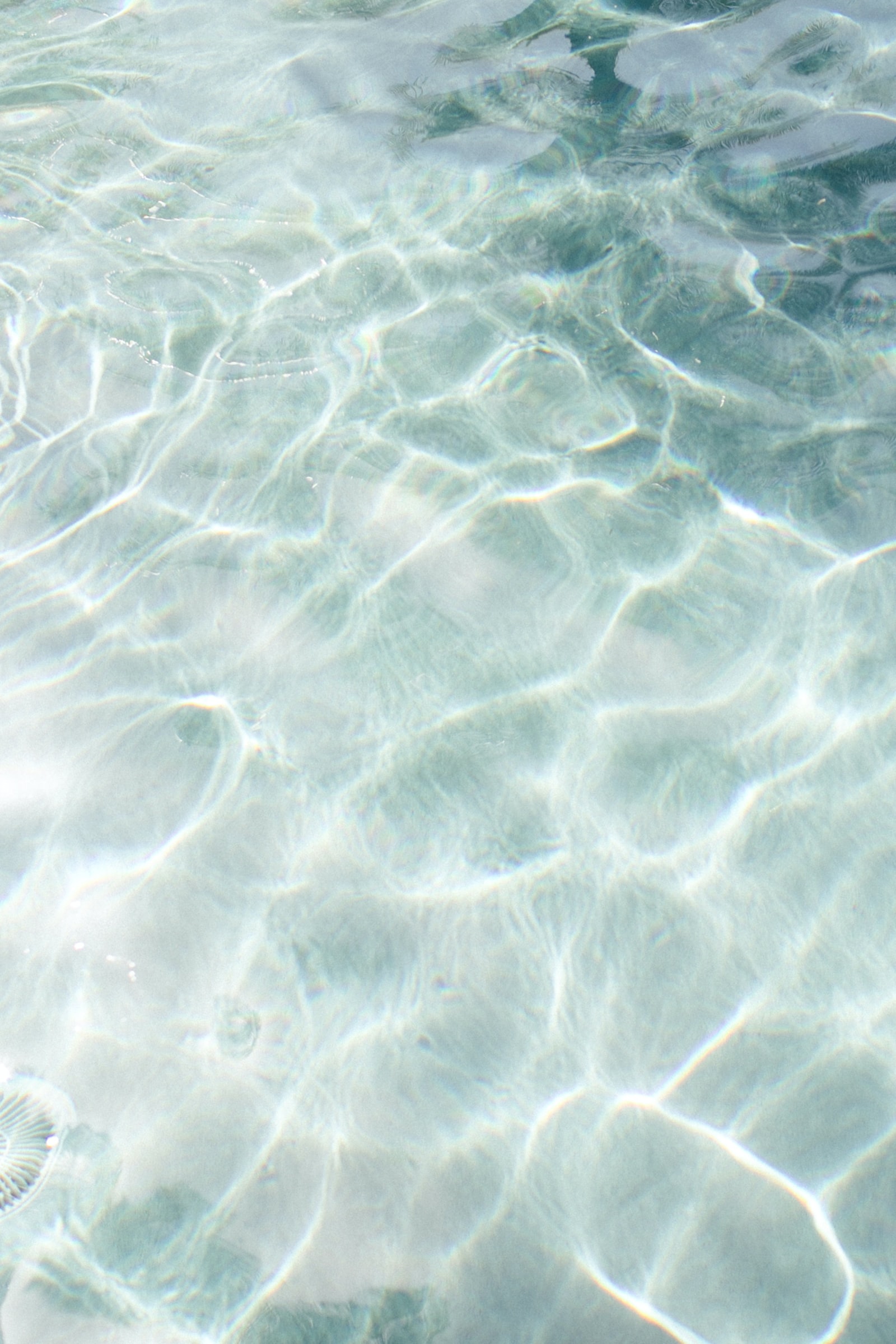 1600x2399 33+] Summer 2021 Wallpapers on WallpaperSafari