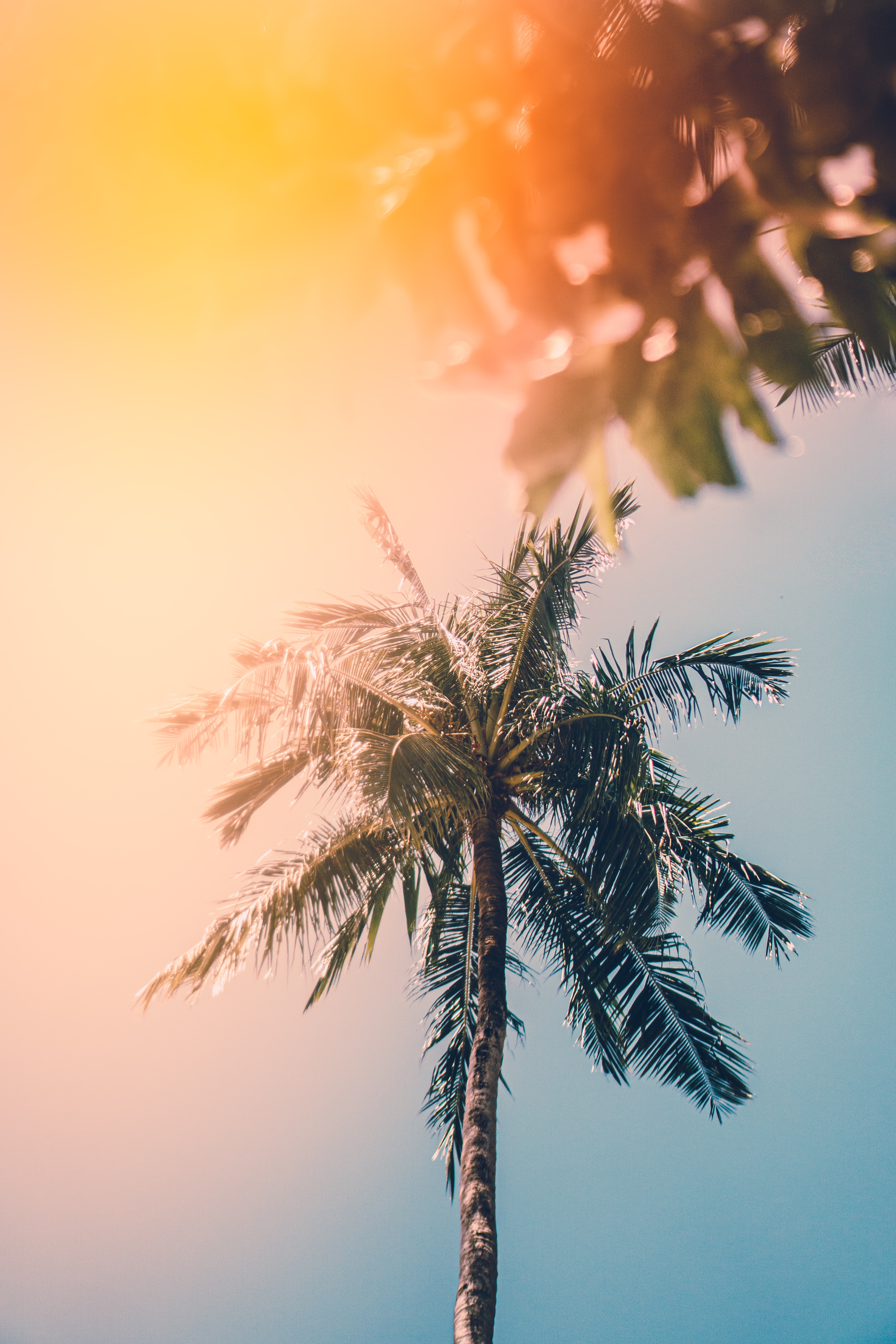 3877x5815 Summer Aesthetic Wallpaper For Phone HD - 2022 Phone Wallpaper HD