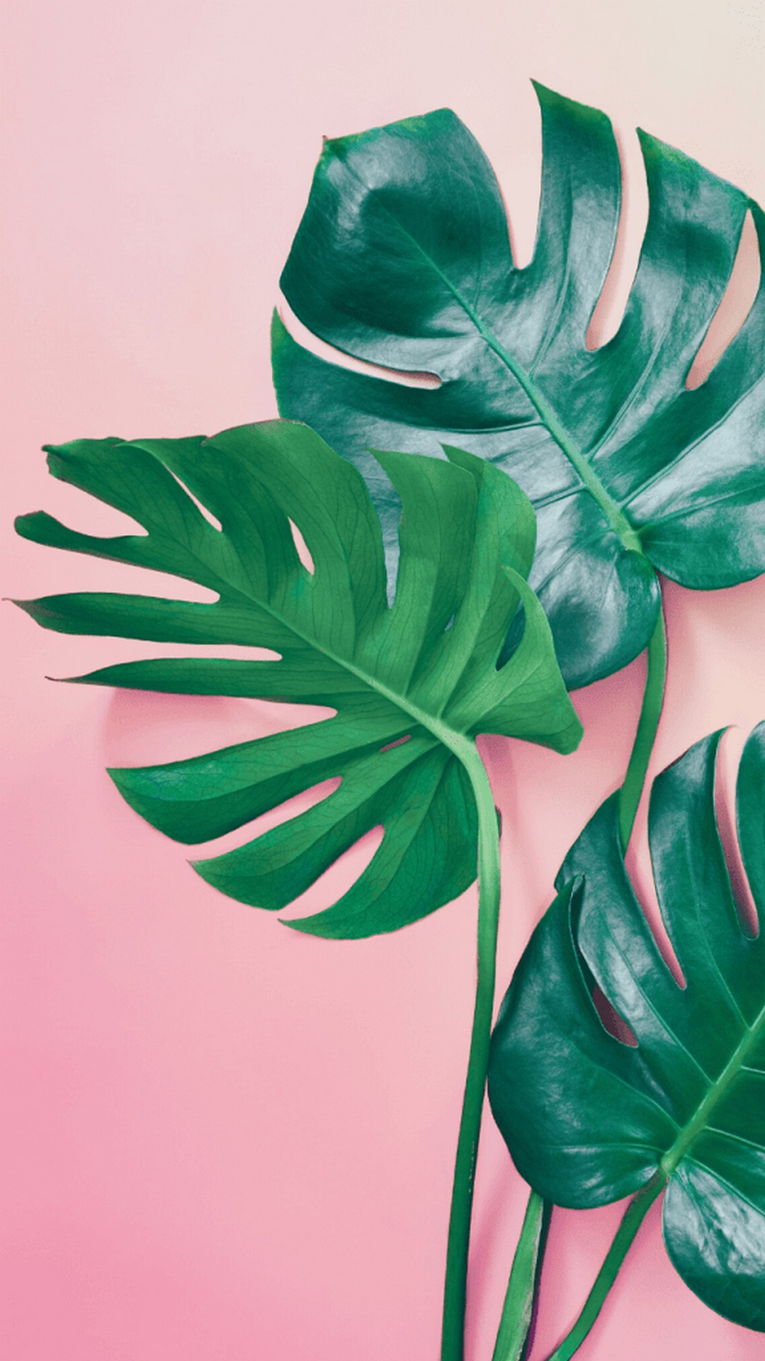 1080x1920 Summer обои HD: Симпатичные ландшафтные фоны Für Android - Apk herunterladen