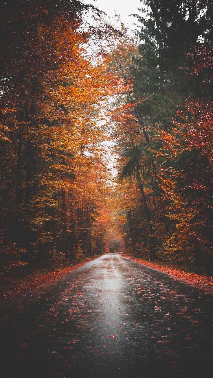 736x1308 fall Tumblr Photography Walpapers - Top Free Fall Tumblr Photography Фоны 