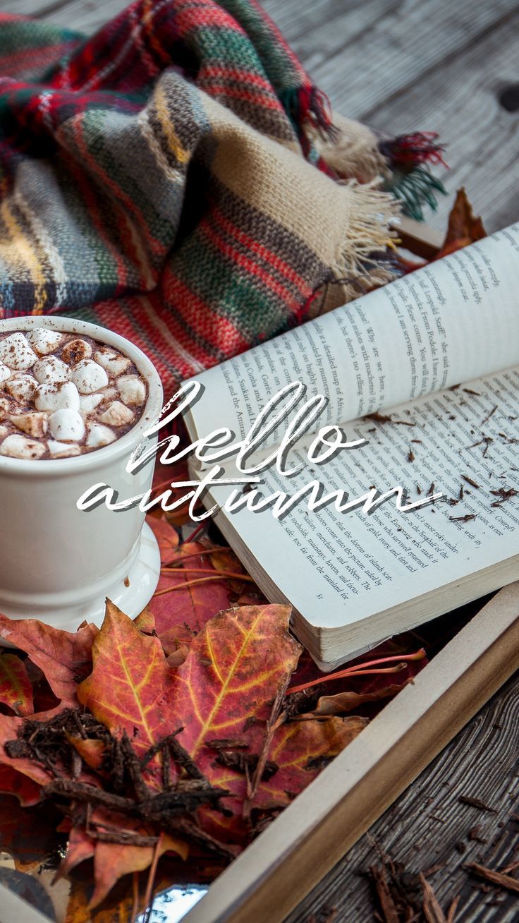 736x1308 Hello Autumn Aesthetic Wallpapers - Top Free Hello Autumn Aesthetic Backgrounds - WallpaperAccess