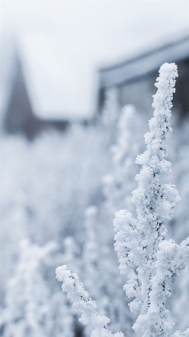 750x1334 Aesthetic Snow Wallpaper posted by Samantha Tremblay