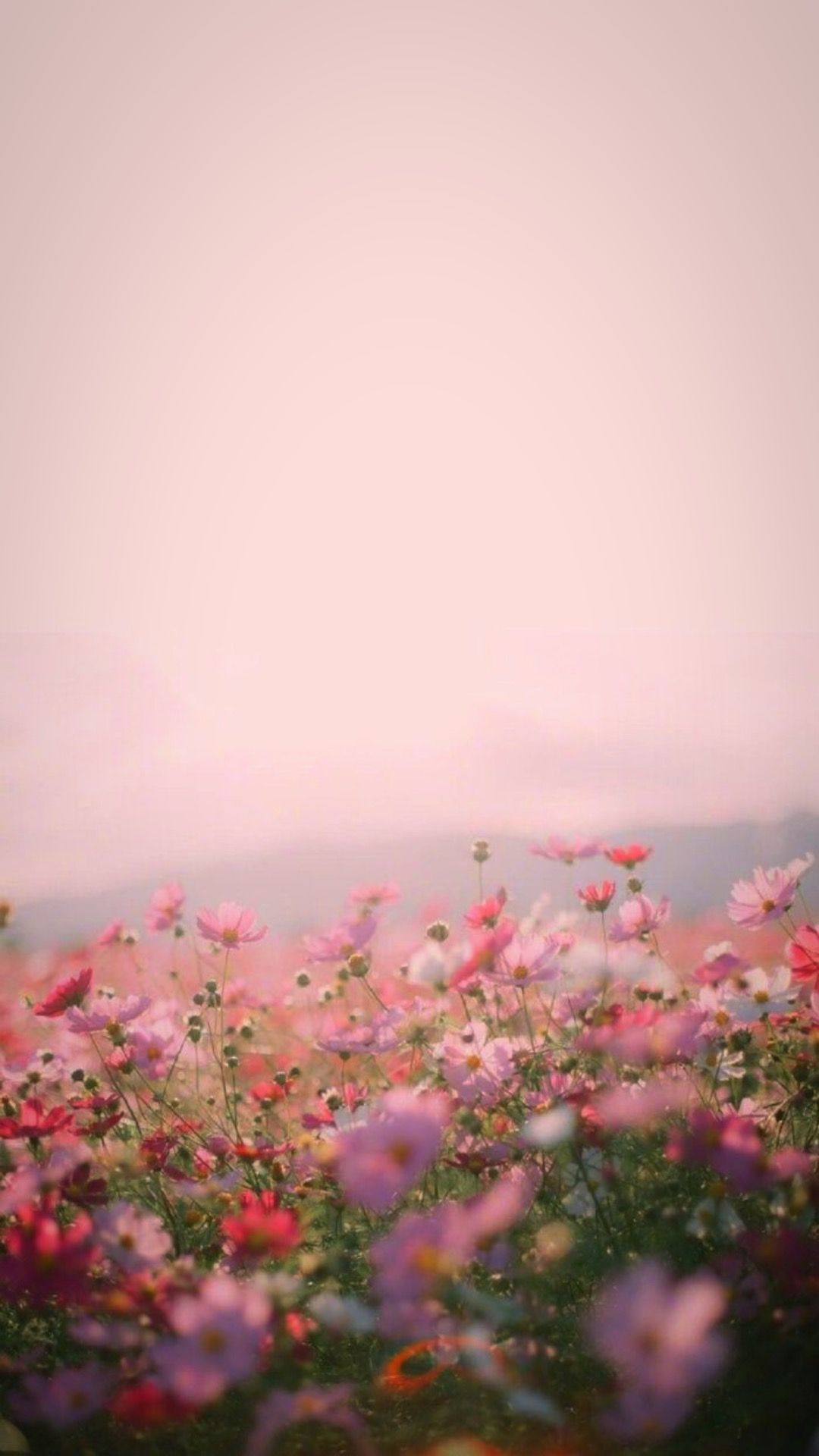 1080x1920   блокировки ☽ -эстетику 🌸🌺 🌸🌺 Запрашивается, как или повторный блог, если ...