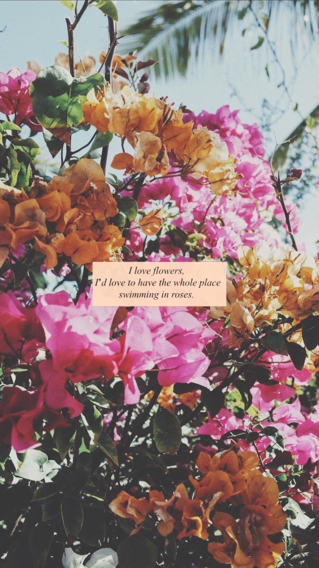 1080x1920   Эстетические обои пружина Обои - IdlewpЦветочные обои эстетические розетки, скидка 60% | rikk.hi.is 