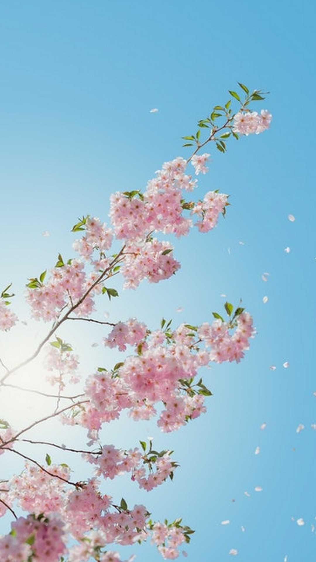 1080x1920  download \ "Spring \" Wallpapers для мобильного телефона, бесплатно \ "Spring \" HD Pictures 