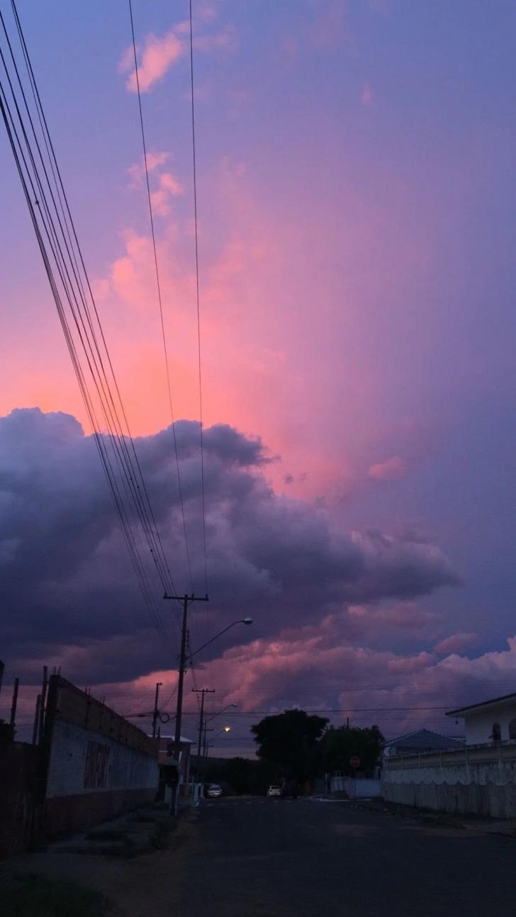 728x1294  summer Эстетическая iPhone 11 обои - обои HD 2022