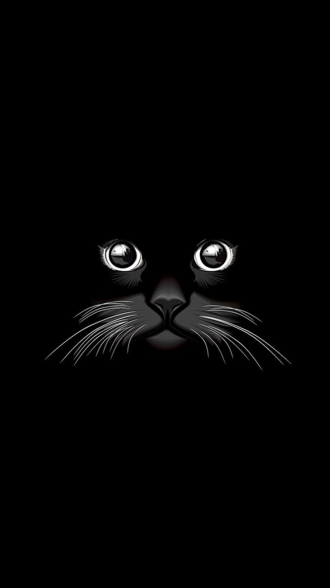 1080x1920  CAT Обои - верхний качественный фон для кошек (HD, 4K) 