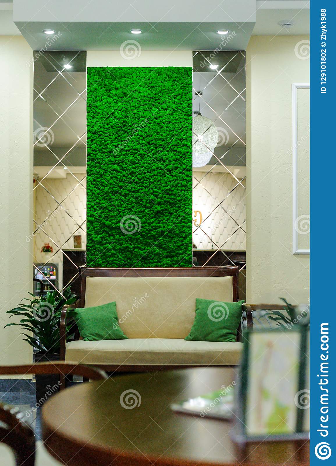 1155x1600  green Fern Plant в близком плане фотосъемка - бесплатное новосибирское изображение на Unsplash