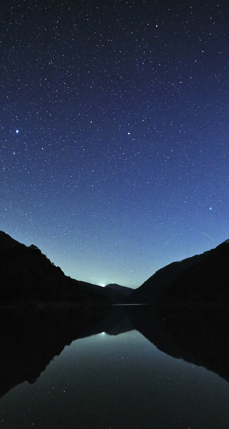 744x1392  Phone обои милые фиолетовые - 2022 Телефон Обои HD