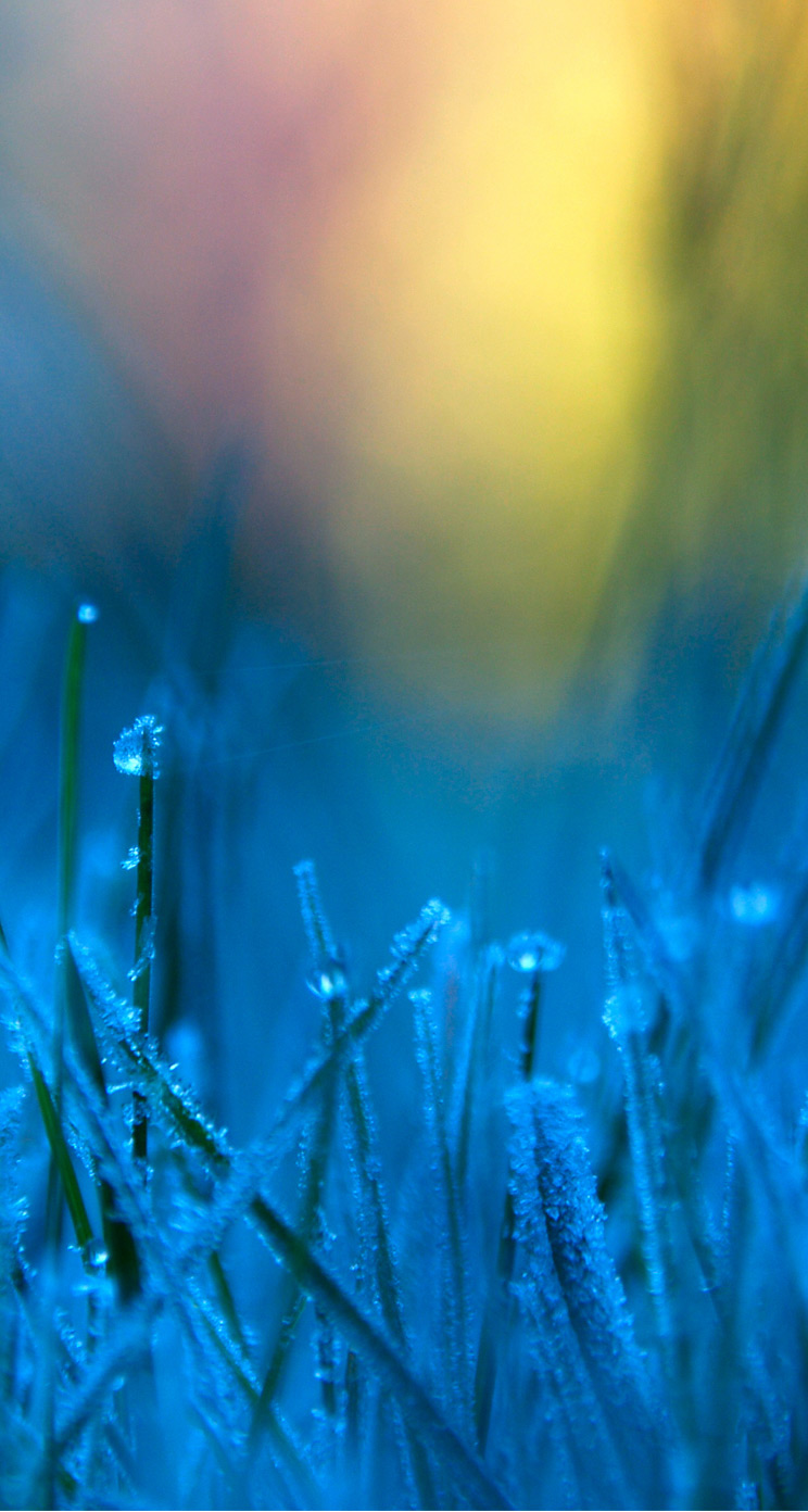 744x1392   WhatsApp Wallpapers HD