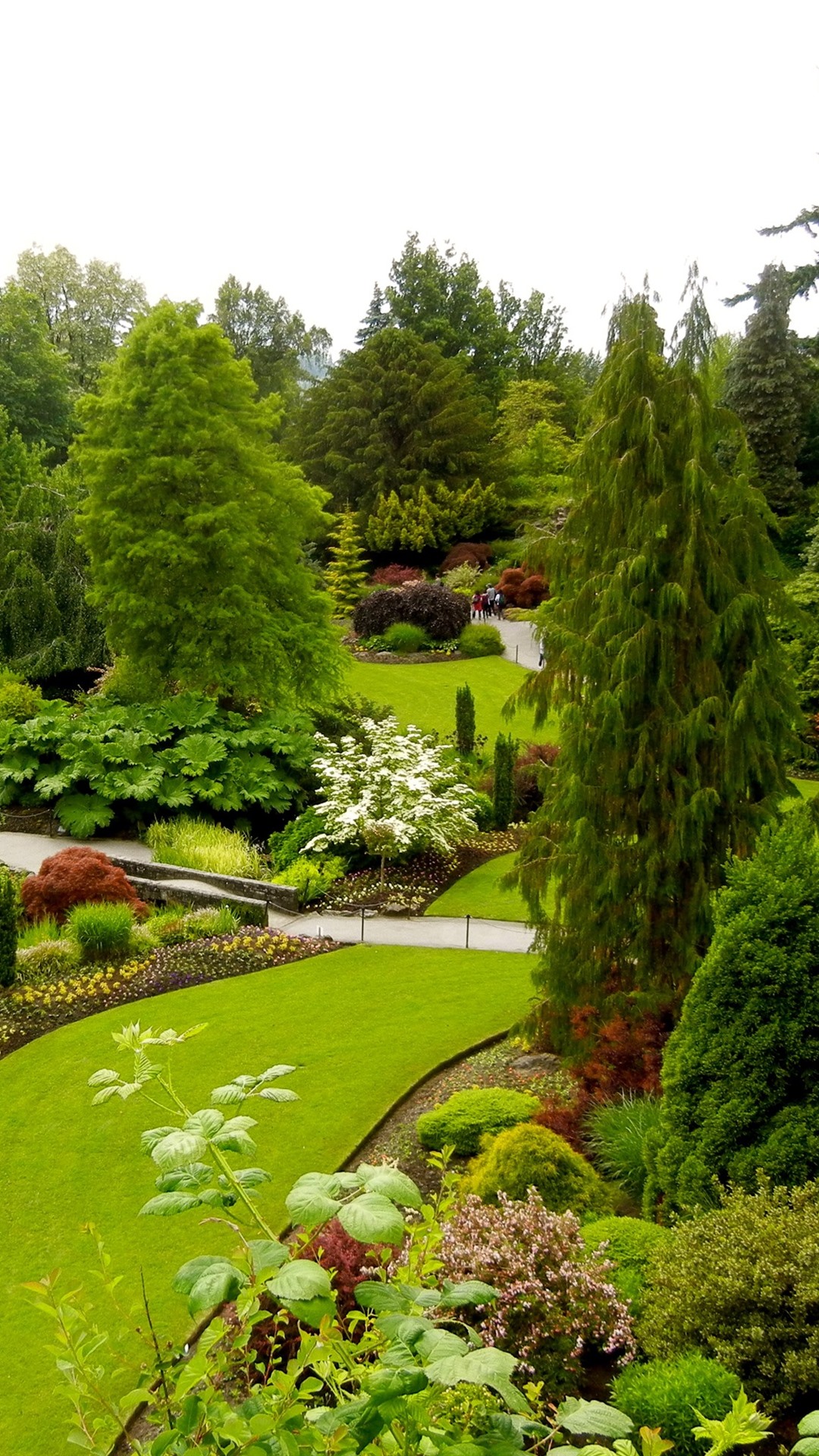 1080x1920  FREE скачать RMS Queen Elizabeth SS Seawise University Full HD [2181x1464] для вашего настольного компьютера, Mobile \ U0026 Tablet | Исследуйте 93+ Королевы Елизаветы Обои | Королева Элизабет обои, обои Элизабет Херли, обои Элизабет Фрейзер 