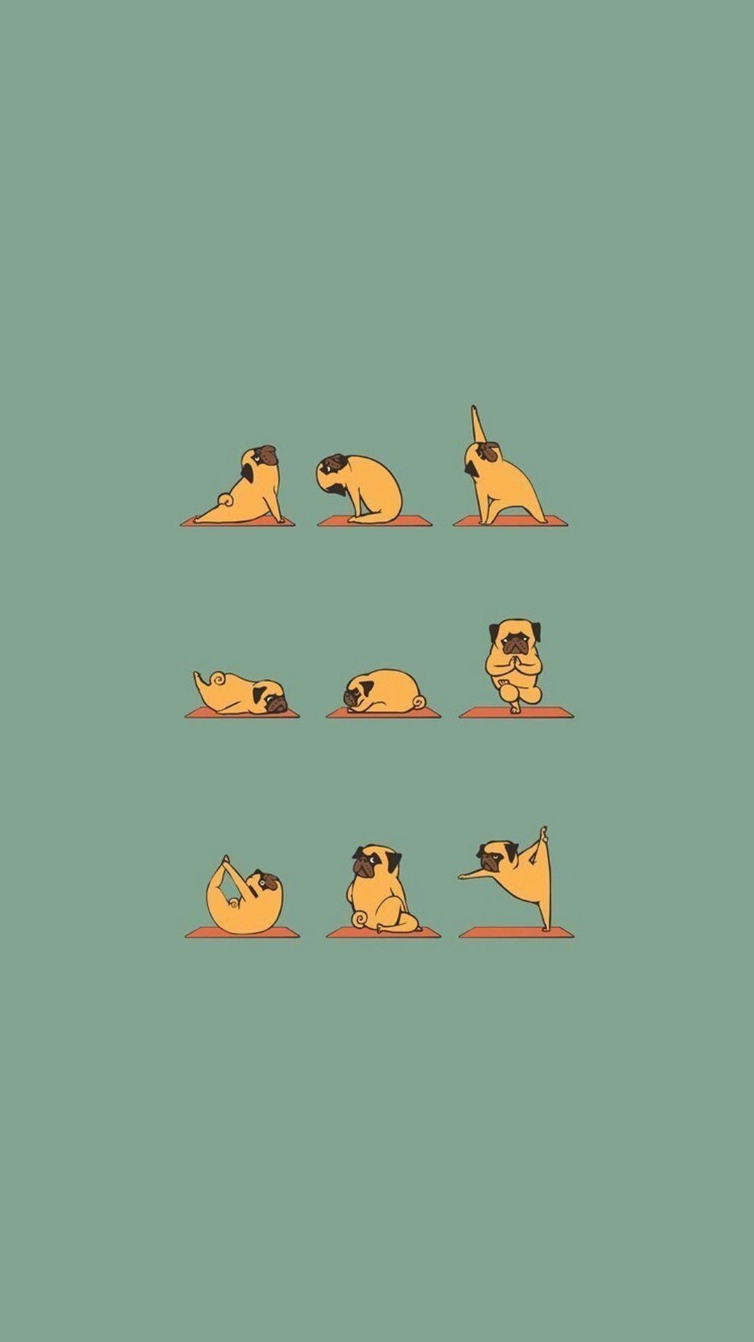 1080x1920 Animal Yoga Wallpapers - Лучшие бесплатные фоны для йоги животных - WallpaperAccess