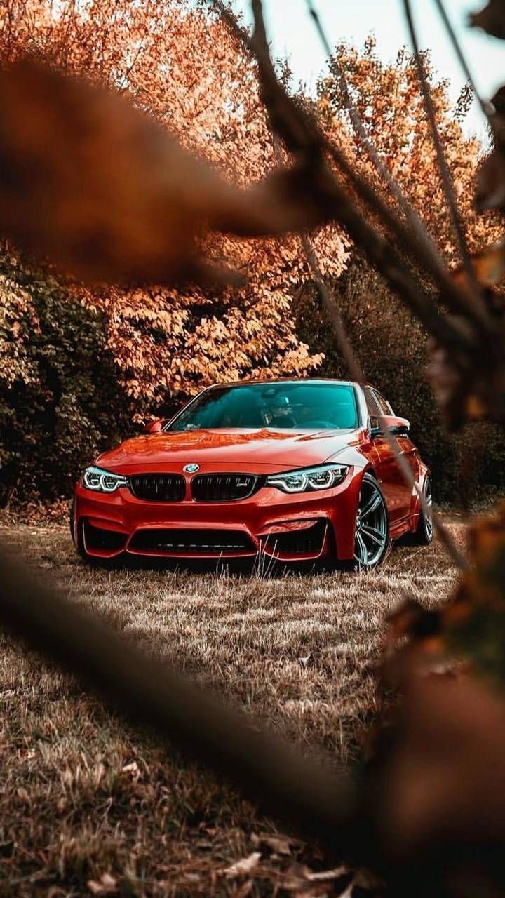 Bmw m3 f80 обои на телефон