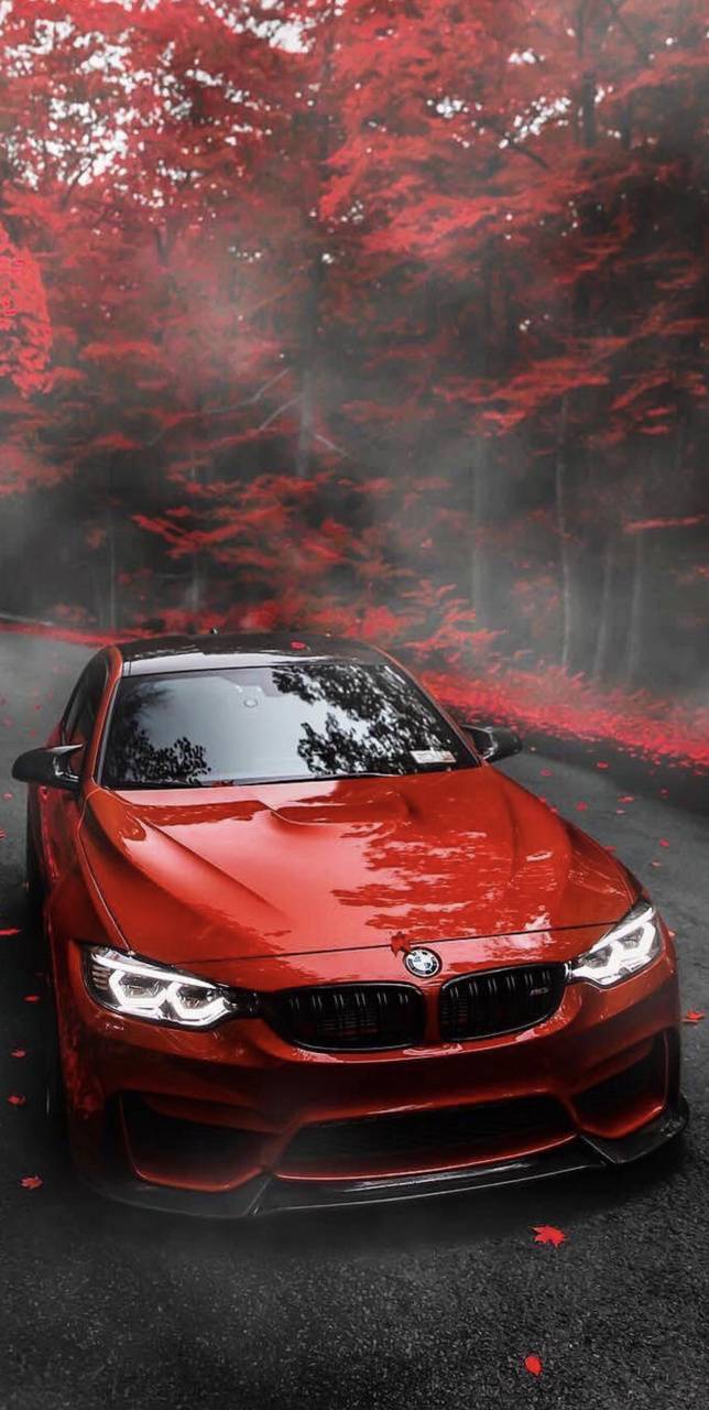 Bmw m3 f80 обои на телефон