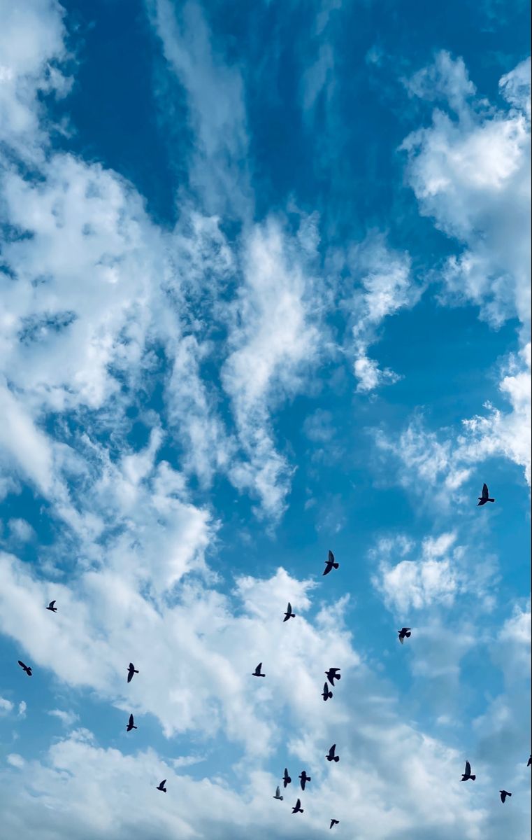 761x1200  Renegade Design (@renegadedesign2) / Twitter