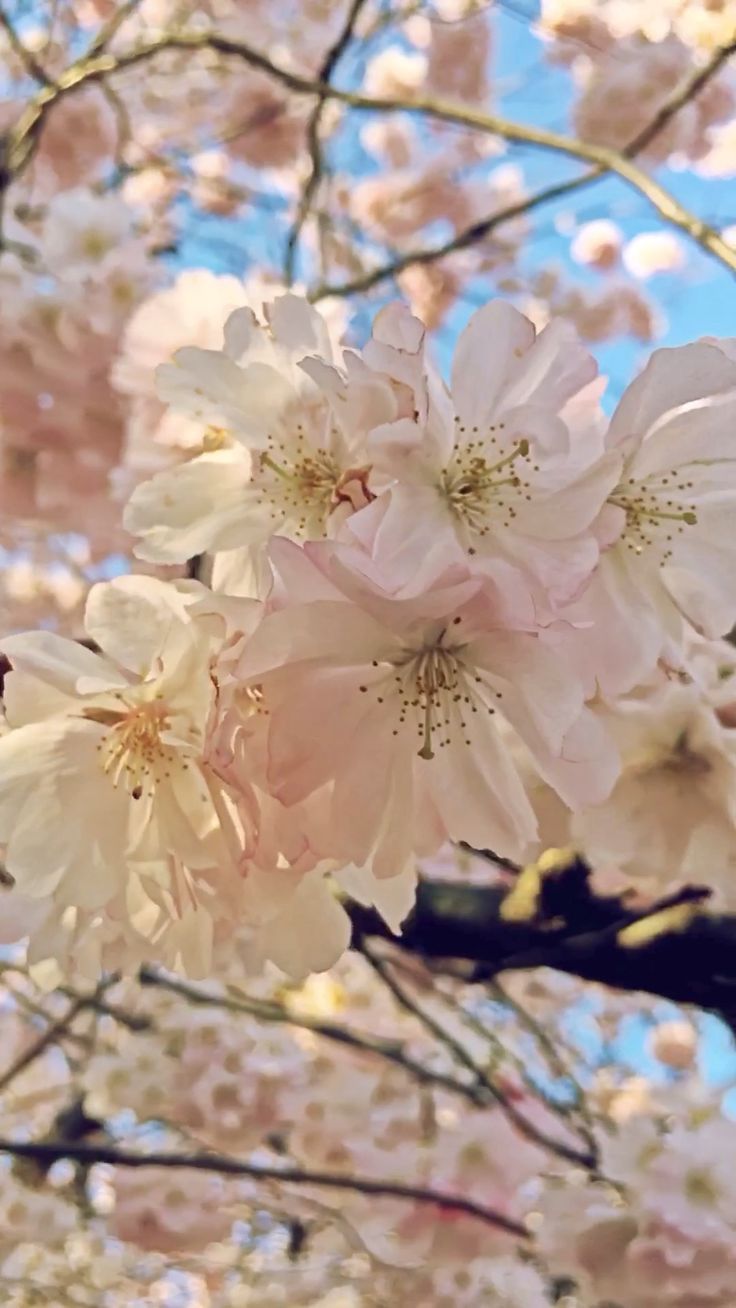 736x1308  smotra.ru - Фотографии | Facebook