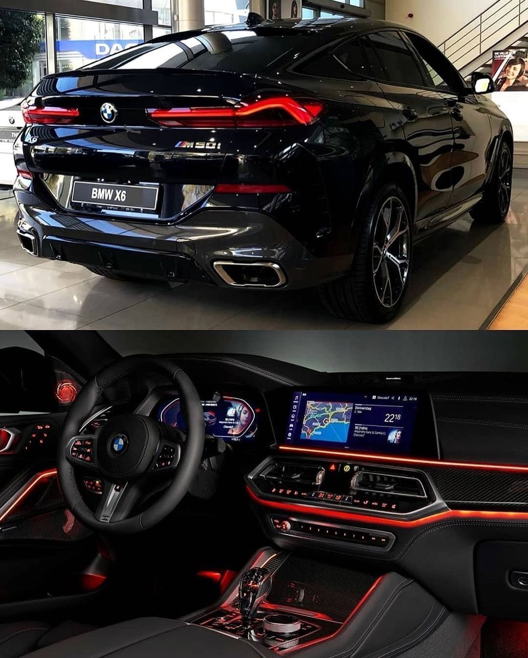 1080x1344  pitbull, LO, Mk, HD Телефон Обои | PEACKPX