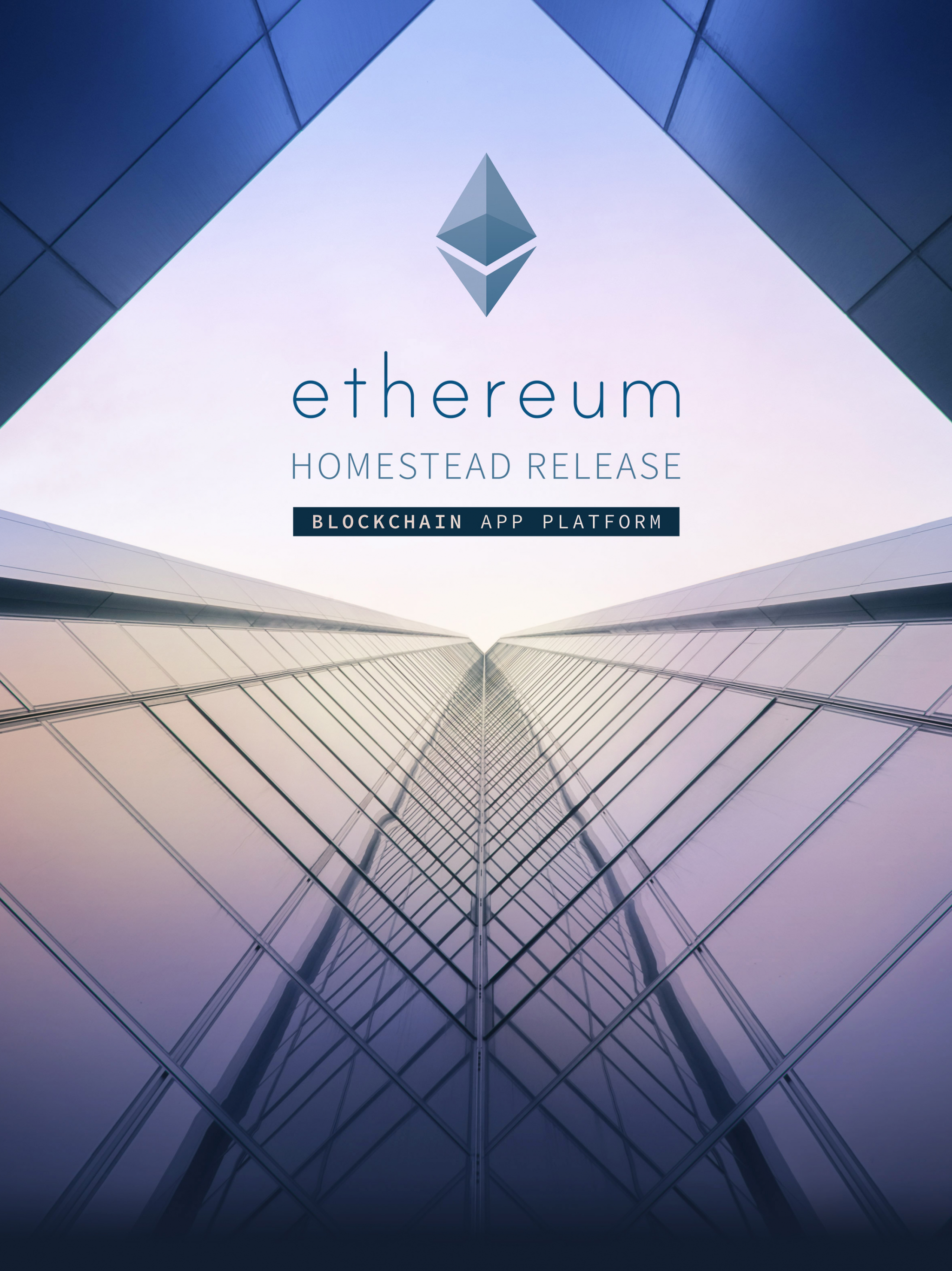 2048x2732  Cryptocurreny Bitcoin Ethereum 4K Wallpaper iPhone HD Phone #9020f