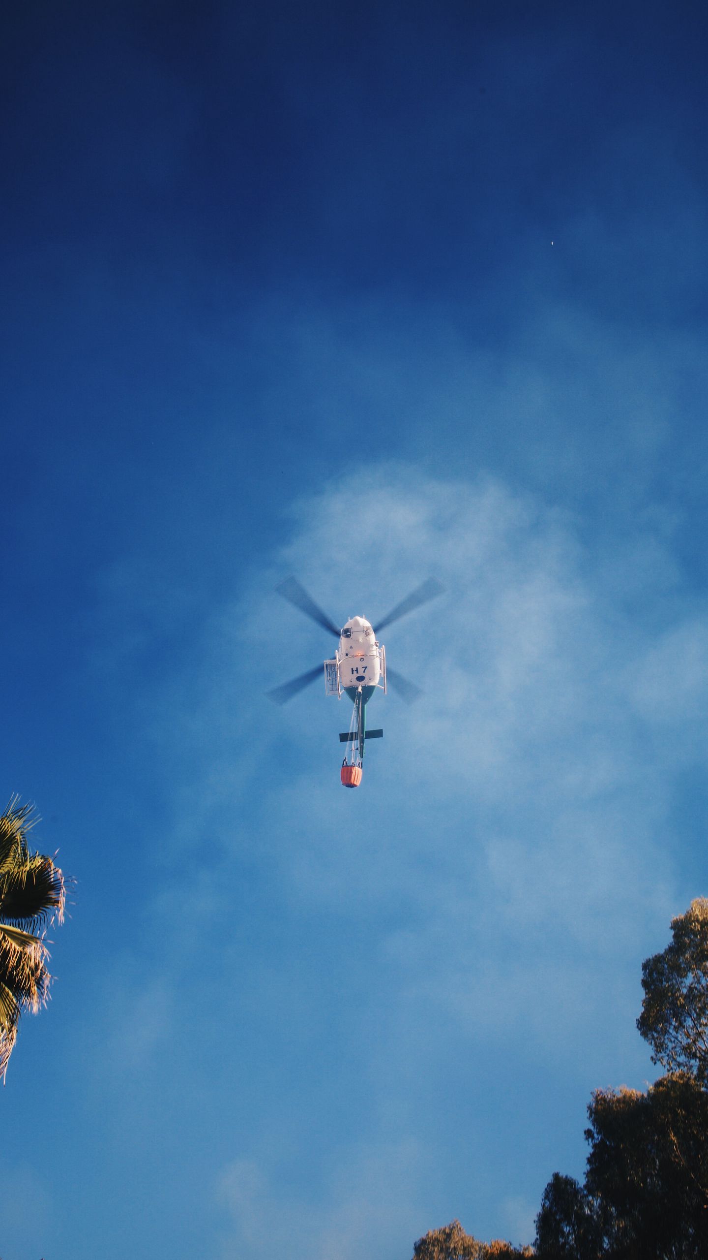 1440x2560   Скачать обои 800x1280 Helicopter, Eurocopter, EC 130, одномоторный двигатель, Airbus Helicopters, Flying, Blur Samsung Galaxy Note Gt-N7000, Meizu MX2 HD фоновая Танк -атака Helicopter 4K Телефон iPhone обои № 8681A 