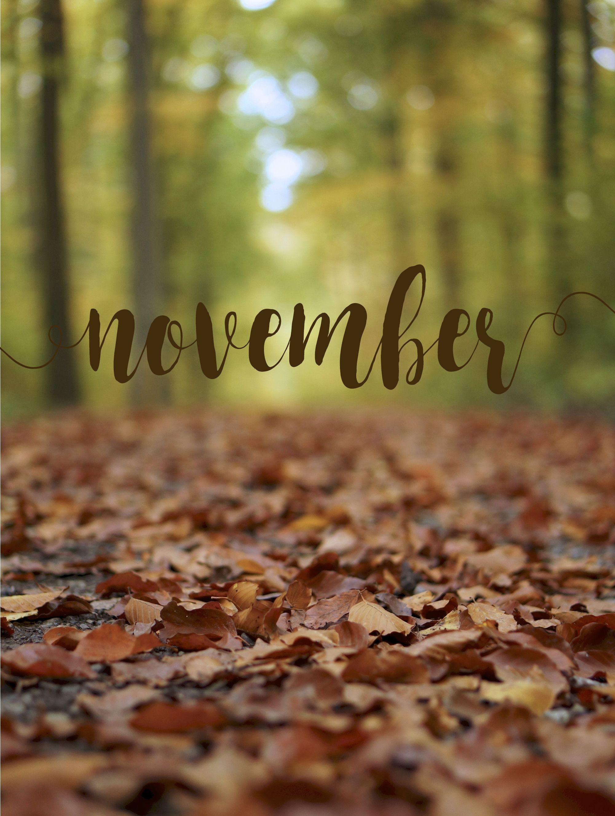 November. Ноябрь фон. Hello November на заставку телефона. Обои для iphone на ноябрь. Обои на телефон привет сентябрь.