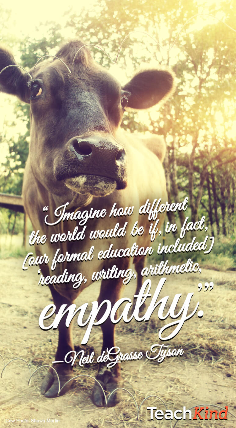 773x1400  Cows wallpaper by tubar - 10 - Бесплатно на ZEDGE ™ 