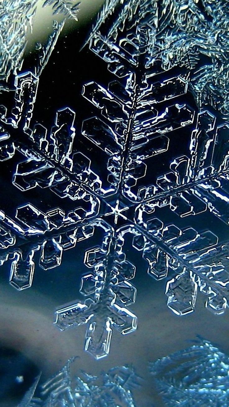 736x1308   Декабрь, скачать бесплатно декабрьские фотографии \ U0026 HD Images