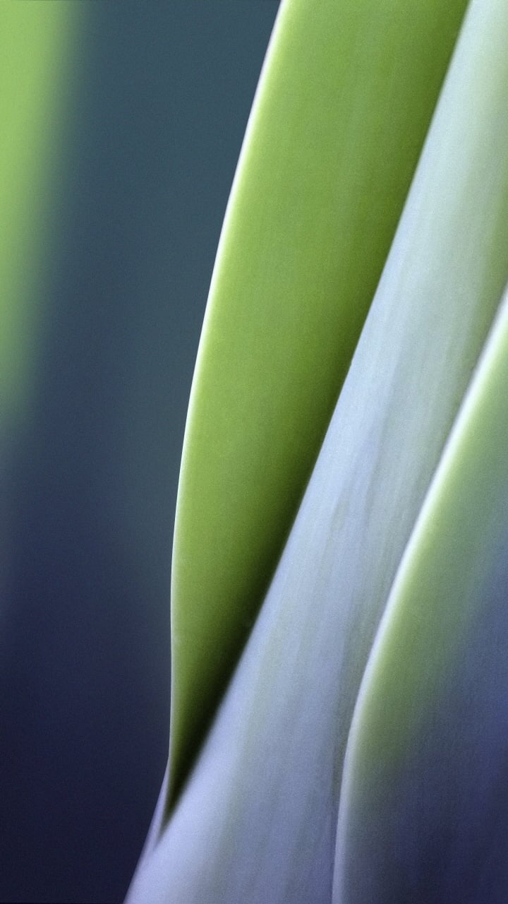 720x1280  1080x1920 Sky At Antry Iphone 7,6S, Pixel x, xl x, plus x, xl x, xl x, pixel x, pixel x, xl_1080x1920. 3T, 5 HD 4K Обои, изображения, фоны, фотографии и картинки 