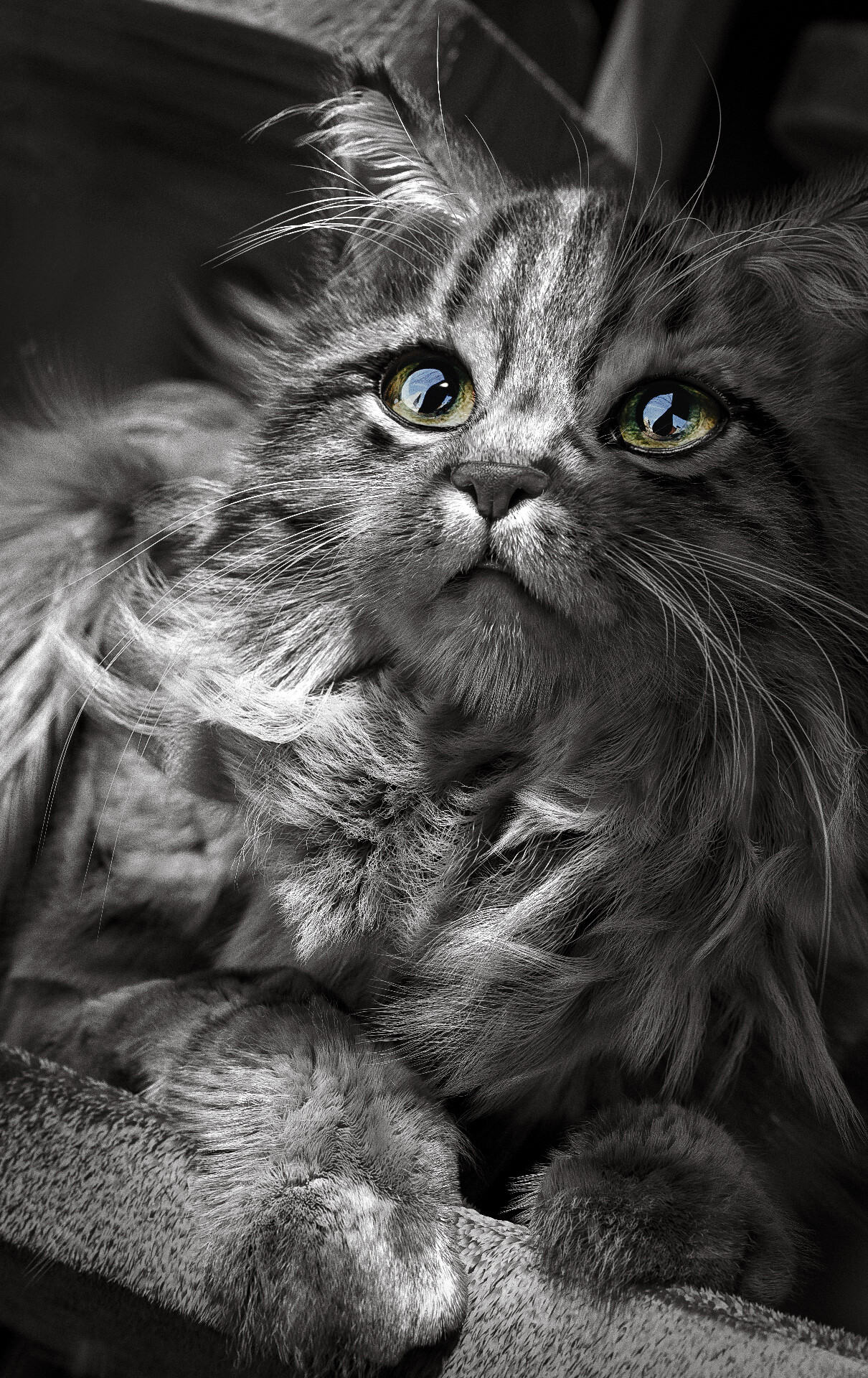 1210x1920  best #time #love #women #жiзa #live #be