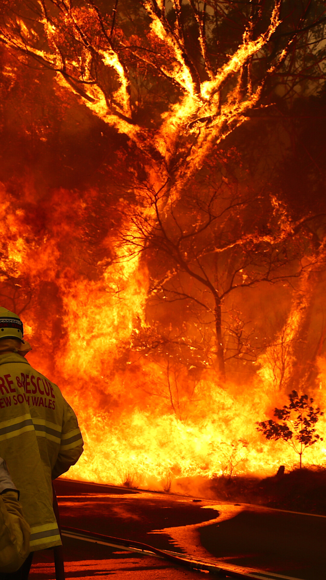 1080x1920  Fire Wood Red Dark Camping Бесплатная загрузка стола для телефона