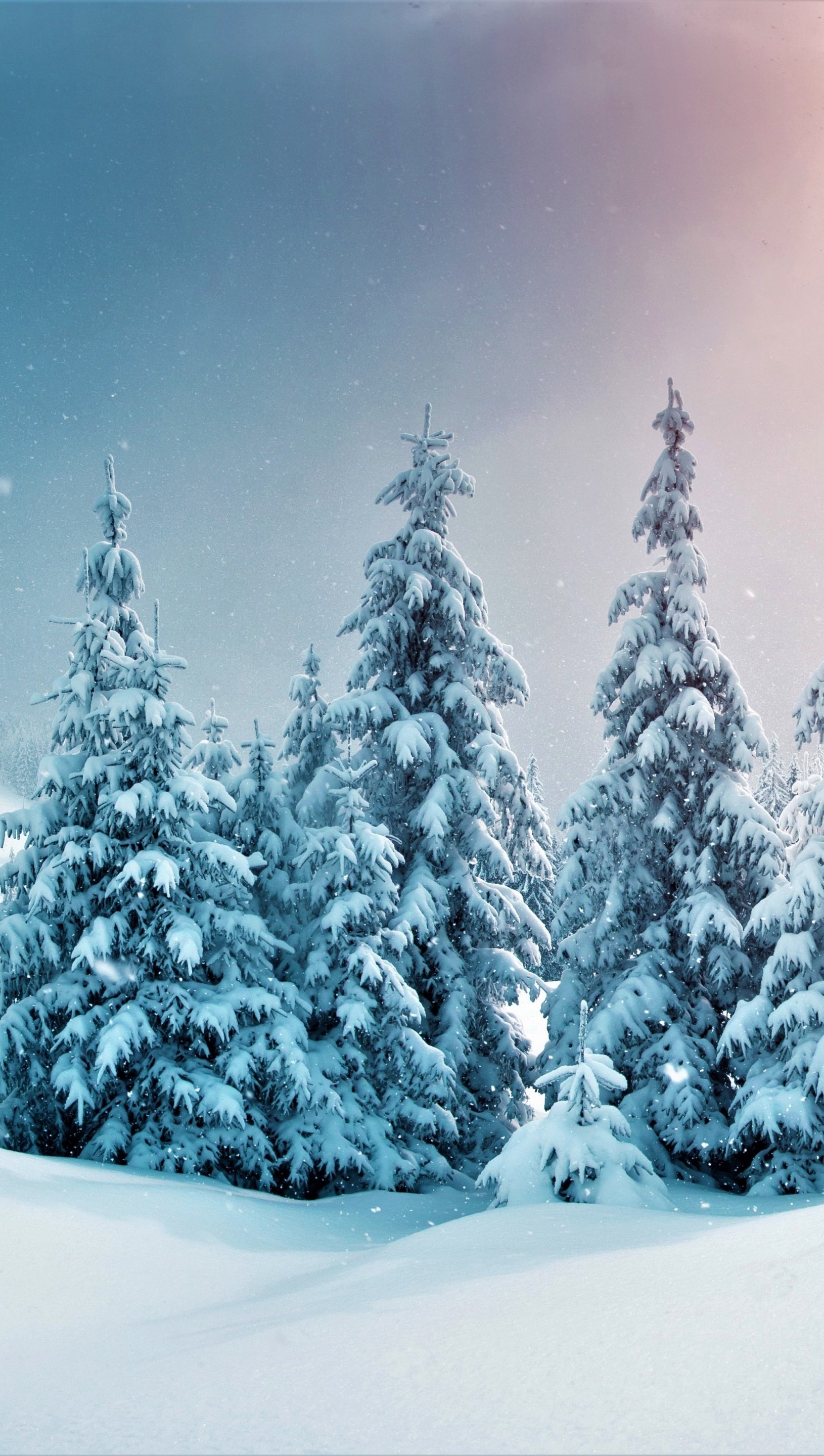 1630x2880  latest Snow Iphone 8 HD обои - ilikewallpaper