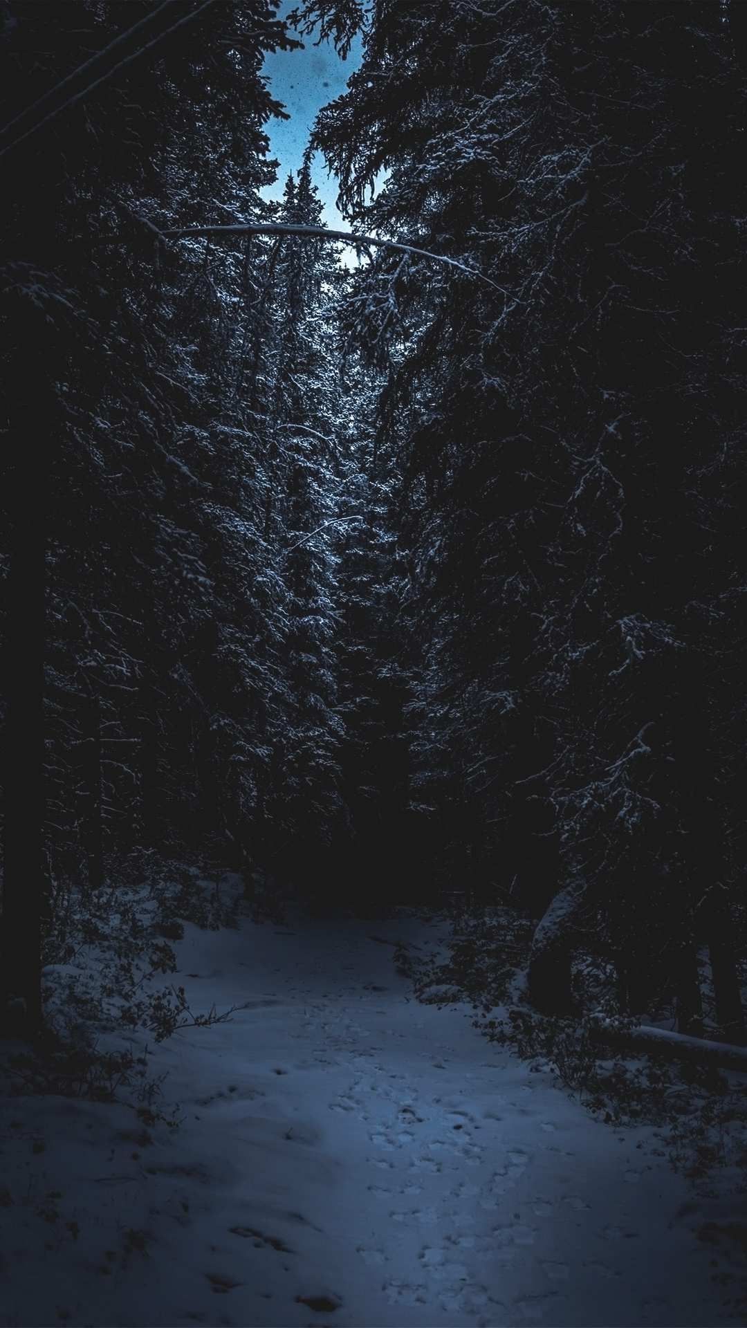1080x1920  Forest обои 4K, горы, сосны, зима, пик, природа, #583 