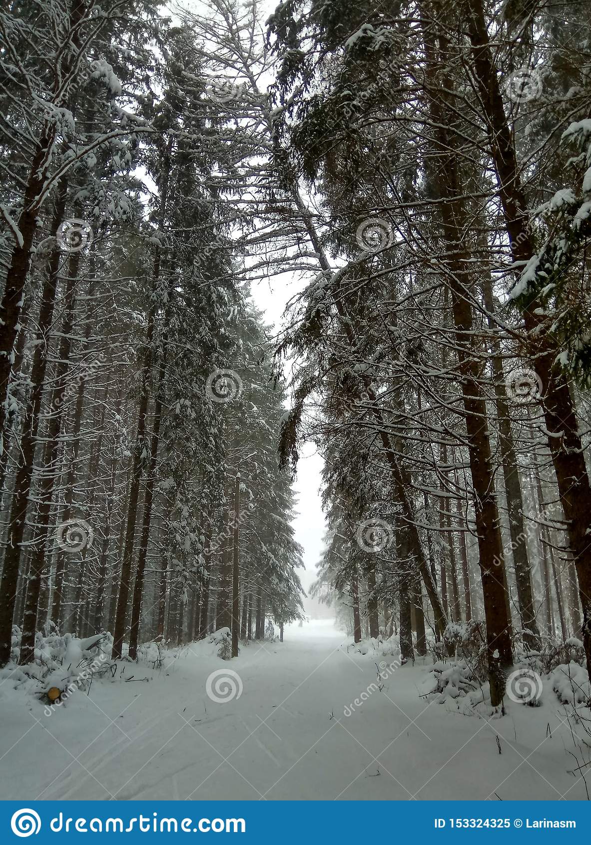 1183x1689   Лесные обои 4K, зима, снежная, ель Норвегия, закат, природа, #3189 