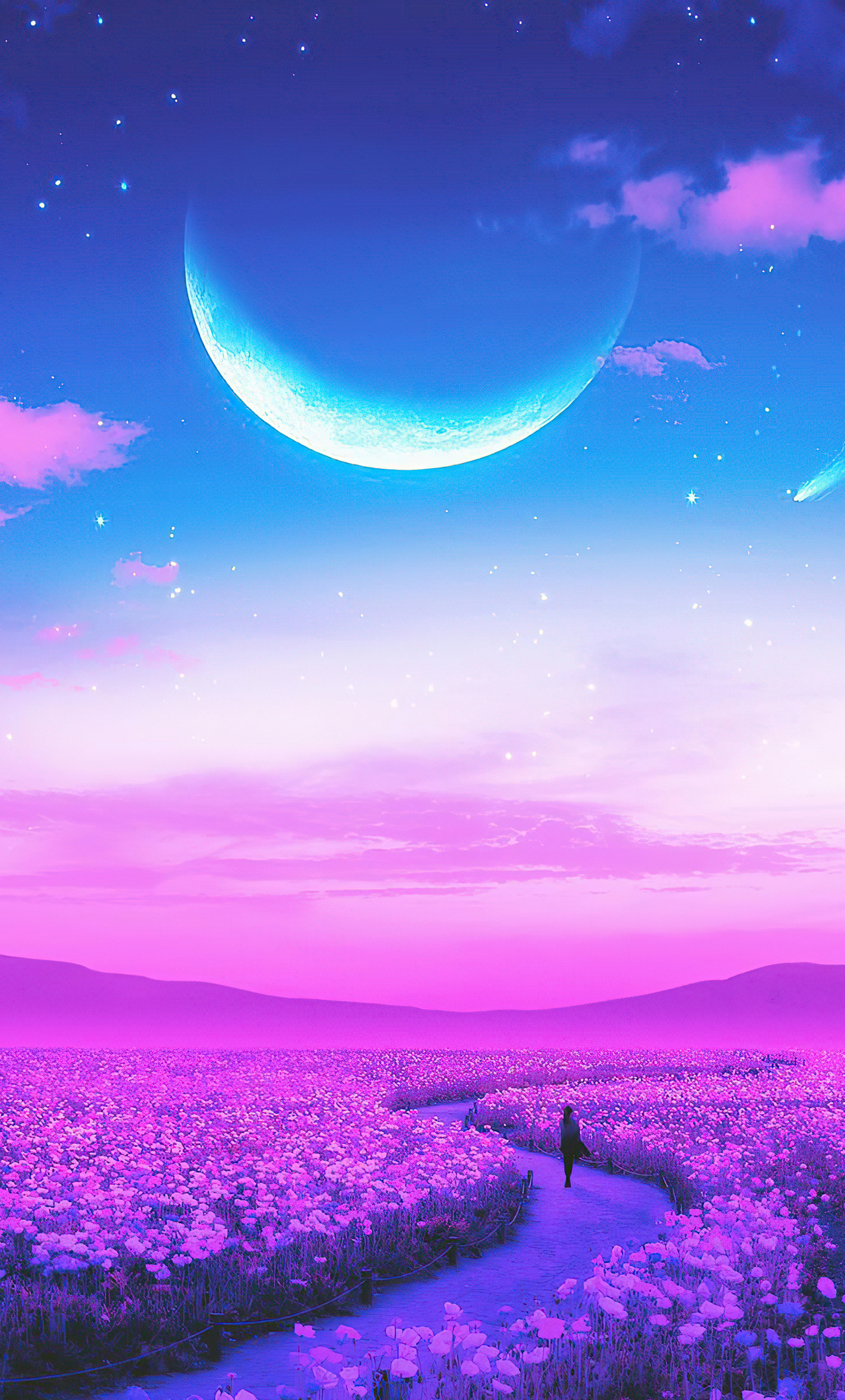 1280x2120  https: //www.pexels.com/search/lavender%20field/