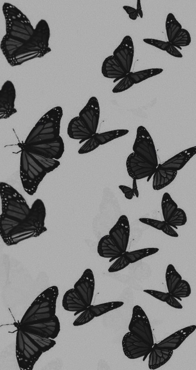 Много бабочек на черном фоне