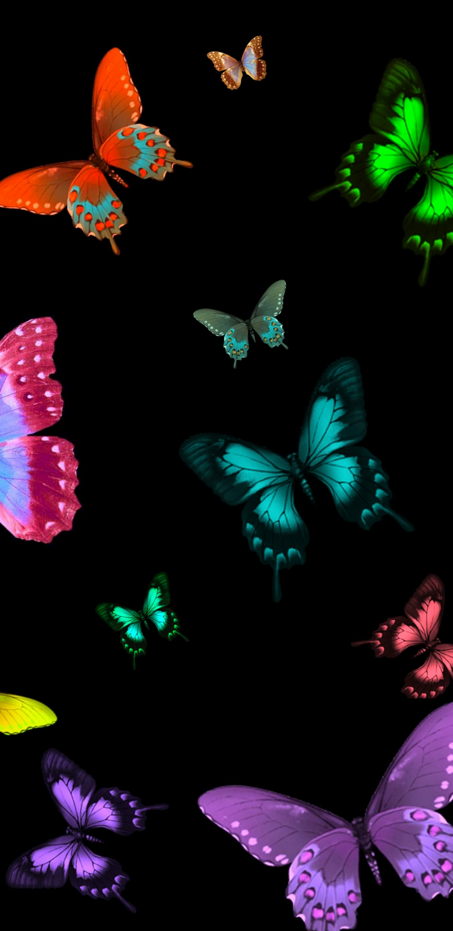 1440x2960  black и фиолетовые бабочки обои на обои на обои. Peakpx