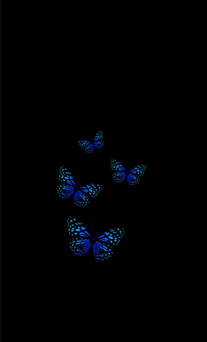 728x1200   Обои бабочки: бесплатно HD Download [500+ HQ] | Unsplash