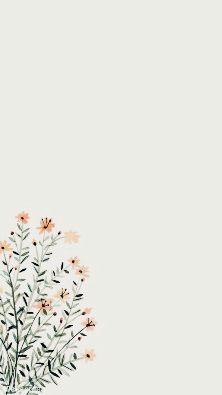 736x1309  flowers #flower #minimalist #wallpaper #flowerminimalistwallpaper | Обои для iPhone, цветочные обои iPhone, минималистские обои телефон 