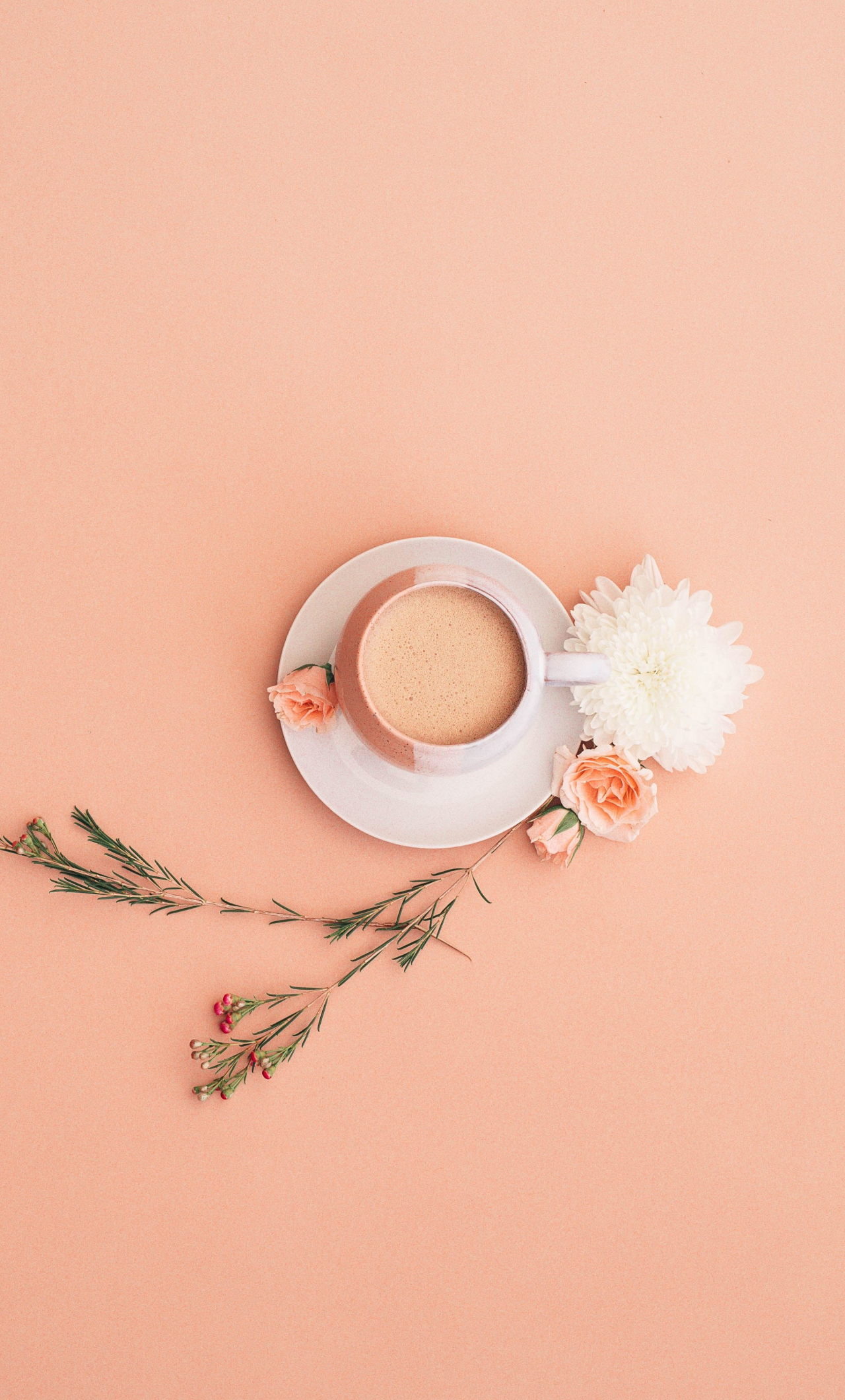 1280x2120  minimalist Flower 1080p, 2k, 4K, 5K HD обои бесплатно скачать | Обои Flare