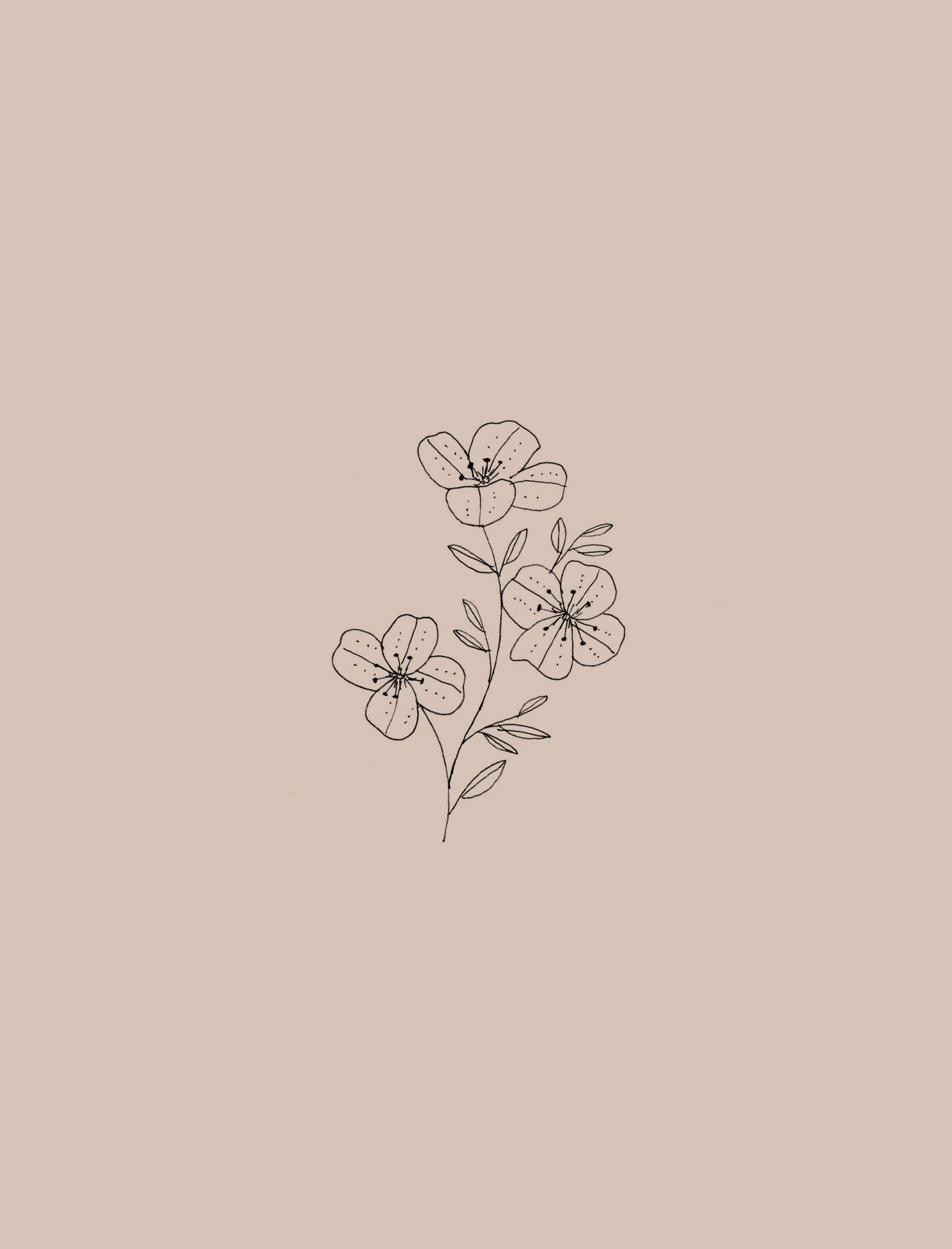 1479x1940  simple Floral Phone Обои - топ бесплатный простые фоны цветочного телефона - WalpaperAccess