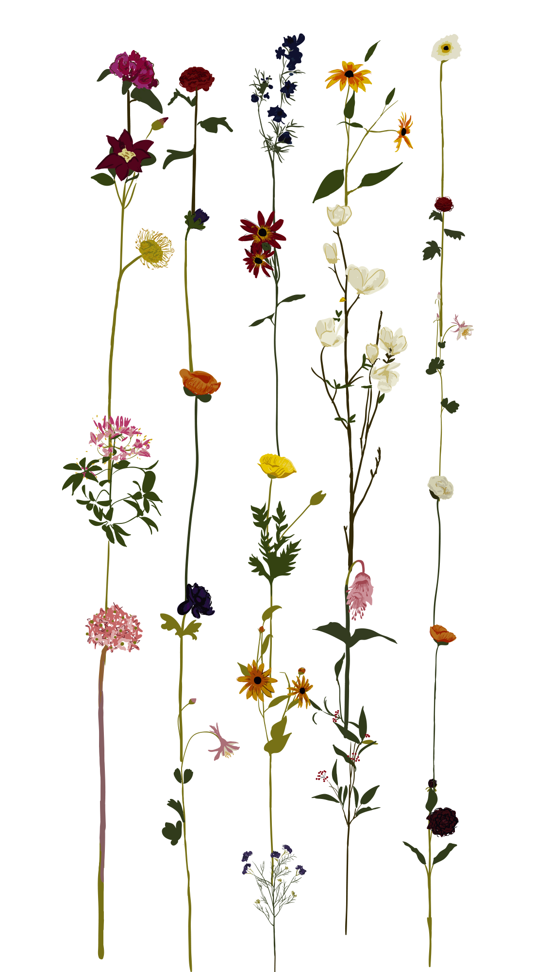 1100x2000  hd обои: черный, белый, цветок, зерно, минимальное, минималистичное, природа | Обои Flare